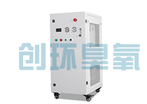 清苑石斑鱼养殖水质调控完整指南：臭氧发生器配置与操作步骤