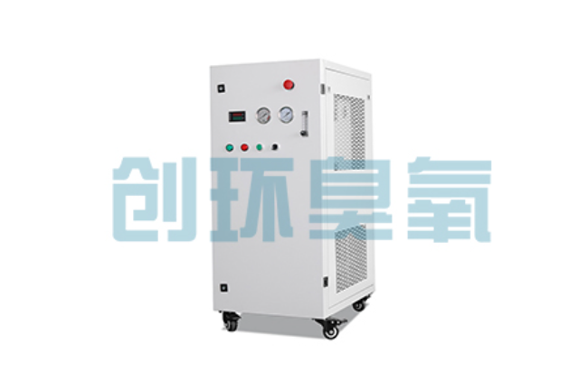 清苑比传统换水更高效？臭氧发生器在石斑鱼养殖中的水质净化原理解析