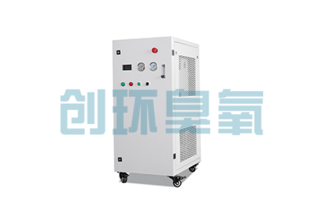 清苑比传统换水更高效？臭氧发生器在石斑鱼养殖中的水质净化原理解析